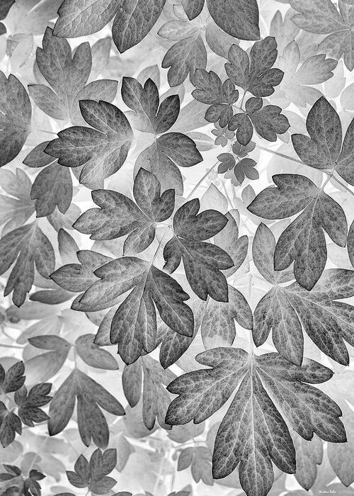 Leaves Greeting Card featuring the photograph Leaves Black And White Plant Pattern by Christina Rollo