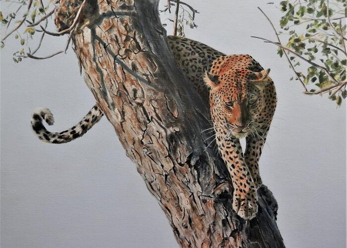 Leopard Greeting Card featuring the painting Ready to Pounce by John Neeve