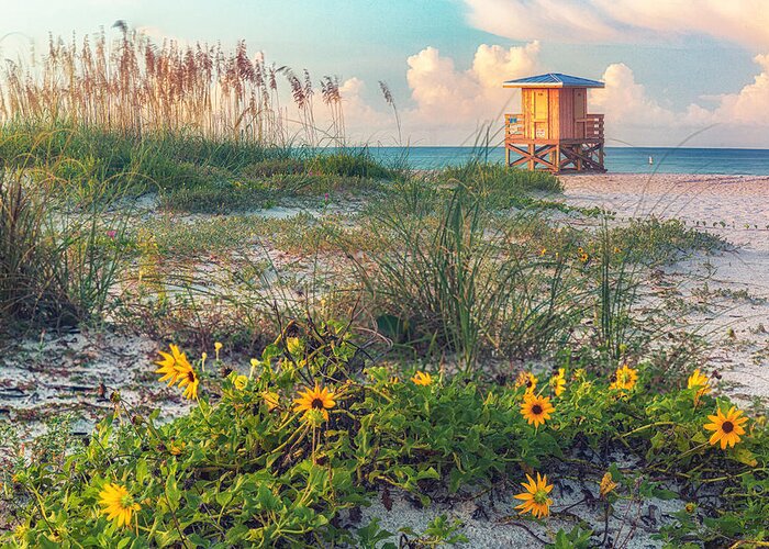 Beach Greeting Card featuring the photograph Lido Beach by Rod Best