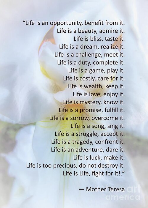 Mother Teresa Greeting Card featuring the photograph Life Is An Opportunity by Amy Dundon