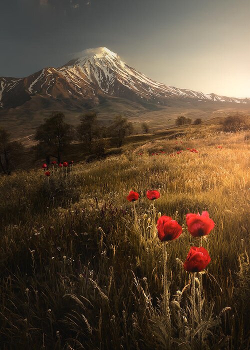 Damavand Greeting Card featuring the photograph Life Is Beautiful by Majid Behzad