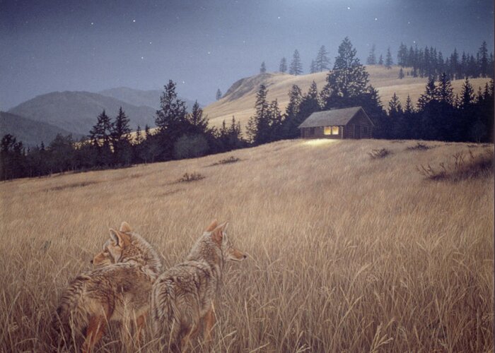 Two Coyotes At The Edge Of A Meadow Looking Toward A House With The Lights On Inside. Bright Moonlight Greeting Card featuring the painting Light In The Window by Ron Parker