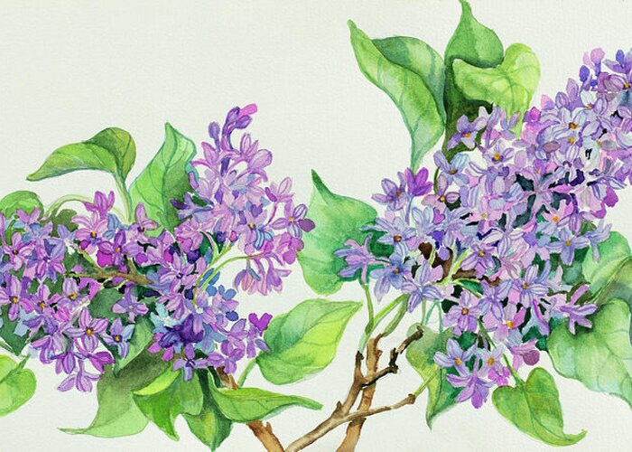 Lilacs Greeting Card featuring the painting Lilac Sprigs by Joanne Porter