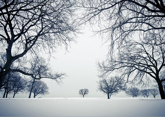 Snow Greeting Card featuring the photograph Lincoln Park Under Snow In Chicago by Yves Andre