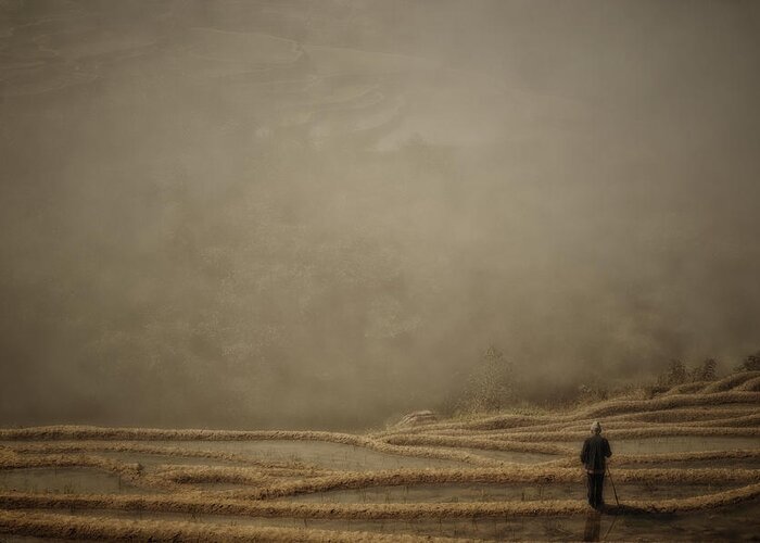 China Greeting Card featuring the photograph Listen How The Rice Is Growing ... by Torsten Hermann