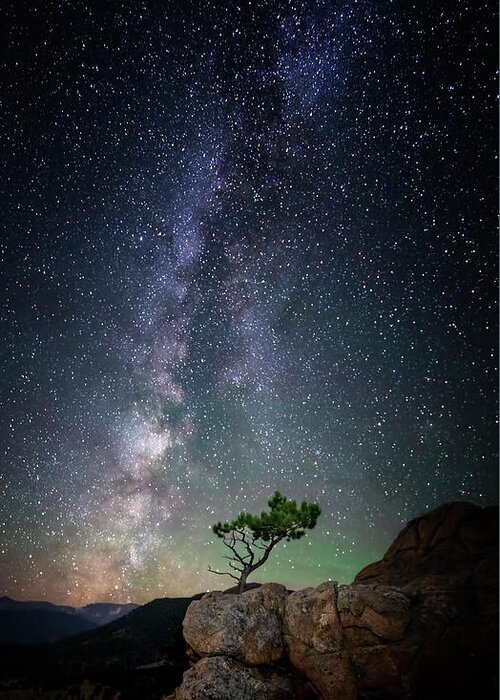Lone Greeting Card featuring the photograph Lone Tree Under the Milky Way by David Soldano