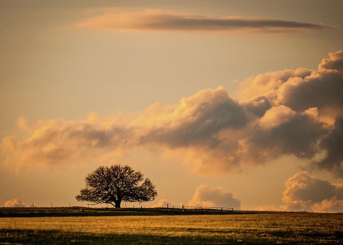 Cloud Greeting Card featuring the photograph Lonely Silhouette by Jeff Phillippi