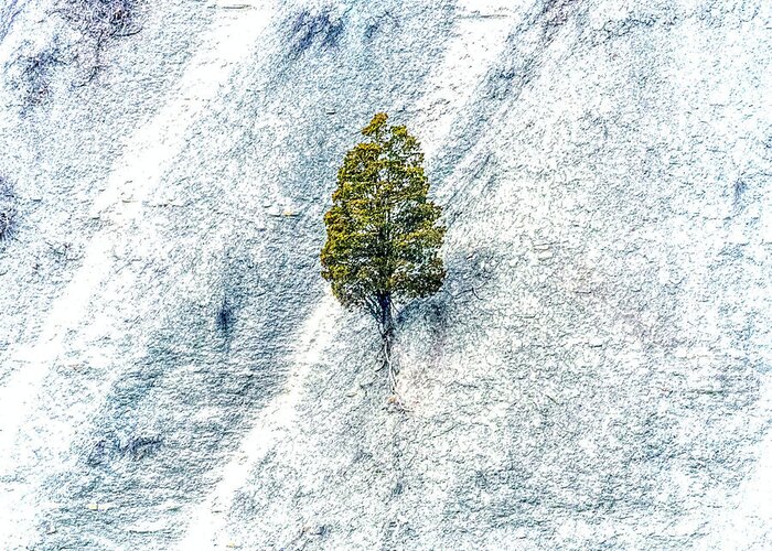 Lonely Tree On The Side Of A Cliff In Letchworth State Park. This Is A Single Image Processed With Adobe Camera Raw Greeting Card featuring the photograph Lonely Tree by Jim Lepard