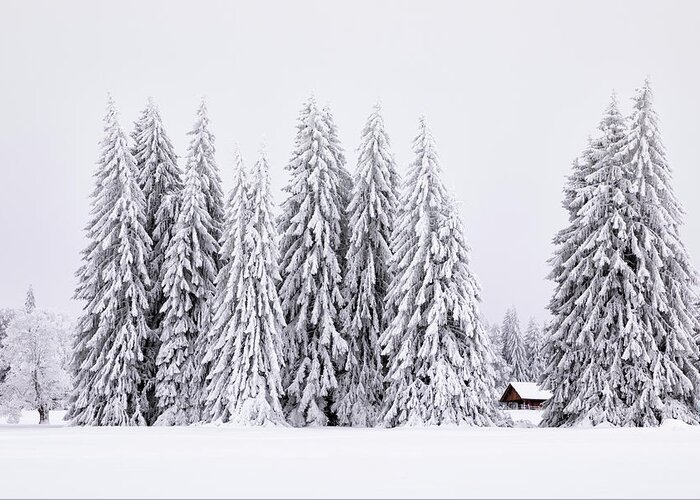 Chalet Greeting Card featuring the photograph Lost in Winter by Dominique Dubied