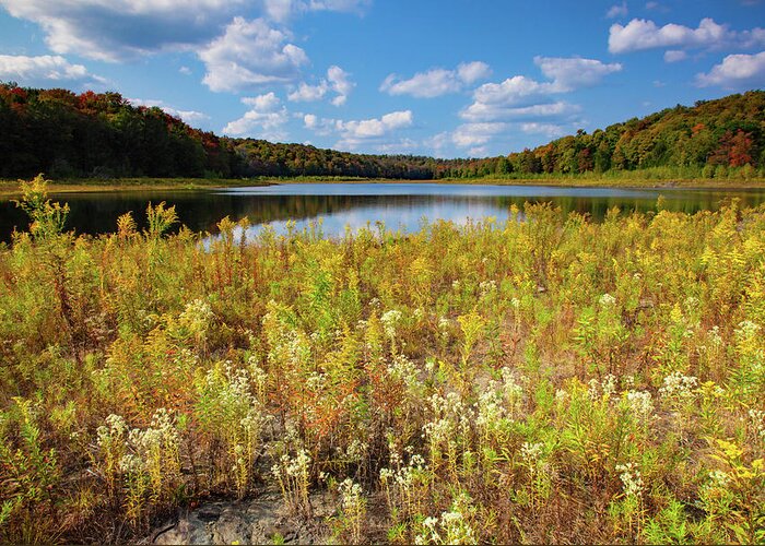 Allegheny Plateau Greeting Card featuring the photograph Lower Woods Pond by Michael Gadomski