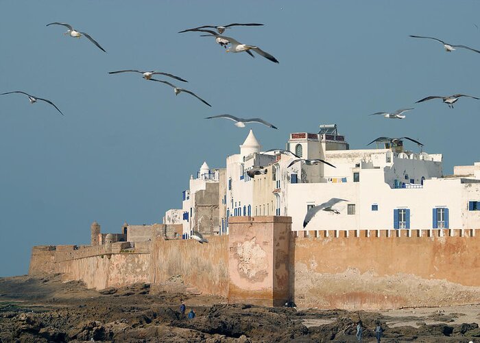 Agadir Greeting Card featuring the photograph Magic Essaouira by Lucgillet