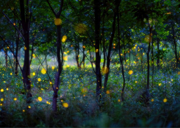Magic Greeting Card featuring the photograph Magic Fireflies by Hua Zhu