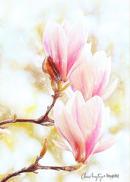 Magnolia Greeting Card featuring the pastel Magnolias are blooming again, it must be Spring by Chris Armytage