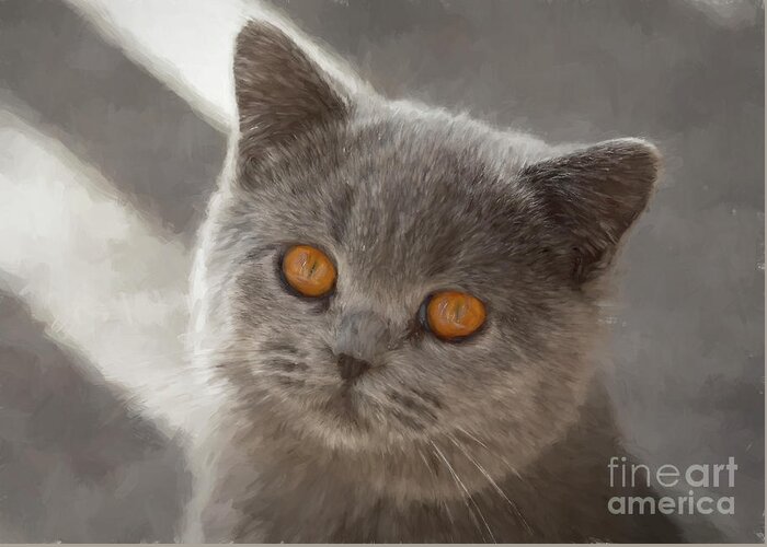 British Blue Shorthair Kitten Greeting Card featuring the photograph Maisie by Sheila Smart Fine Art Photography