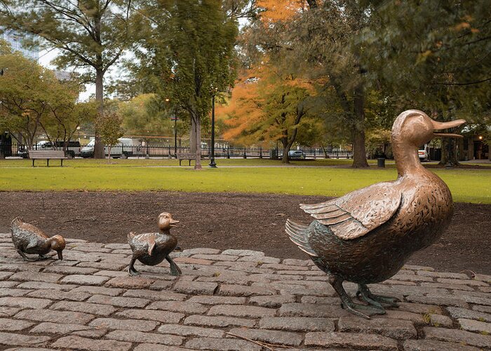America Greeting Card featuring the photograph Make Way For Ducklings in Autumn - Boston Massachusetts by Gregory Ballos