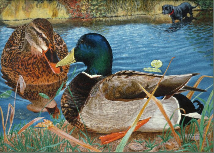 Ducks Greeting Card featuring the painting Mallards by Rusty Frentner