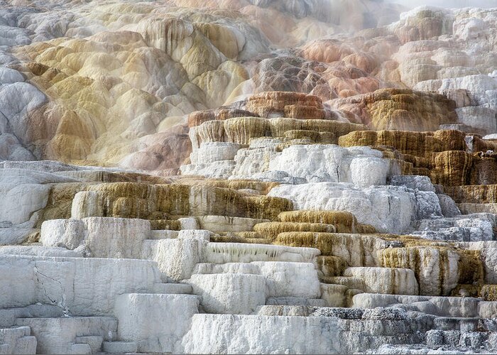 Castle Greeting Card featuring the photograph Mammoth Hot Springs Terrace - 4 by Alex Mironyuk