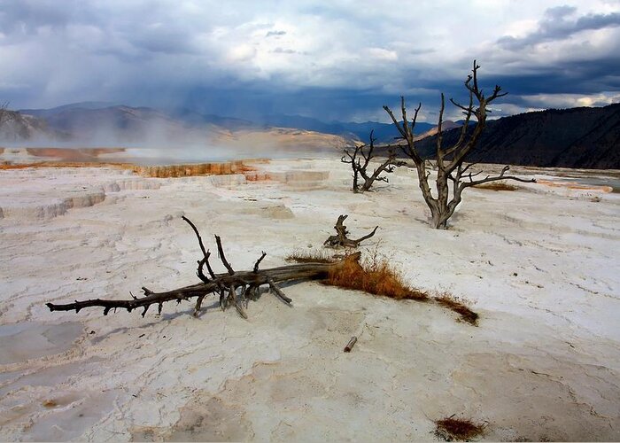 Scenics Greeting Card featuring the photograph Mammoth Hot Springs, Yellowstone by Design Pics/robert Bartow