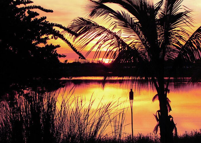 Landscape Greeting Card featuring the photograph Manatee River Sunset by Susan Hope Finley