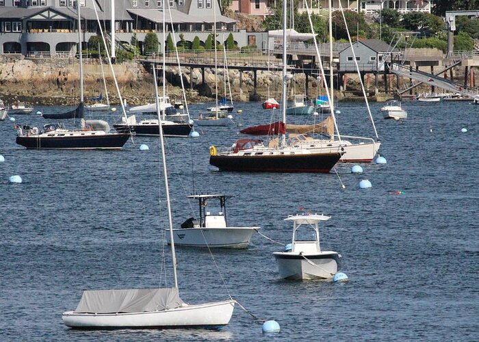 Boats Greeting Card featuring the photograph Marblehead Life by Laura Smith