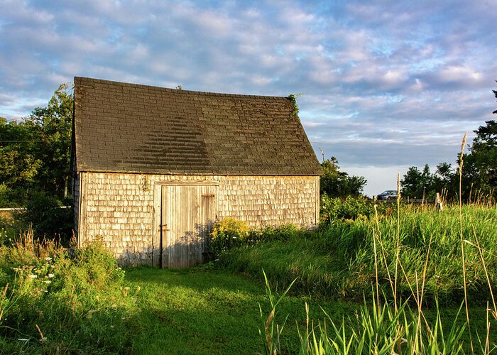 Ramshackle Greeting Card featuring the photograph Maritime Old Barn Morning by Douglas Wielfaert
