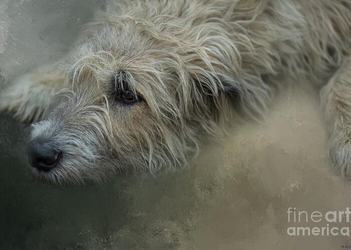 Irish Wolfhound Greeting Card featuring the mixed media Mats' Siesta by Eva Lechner