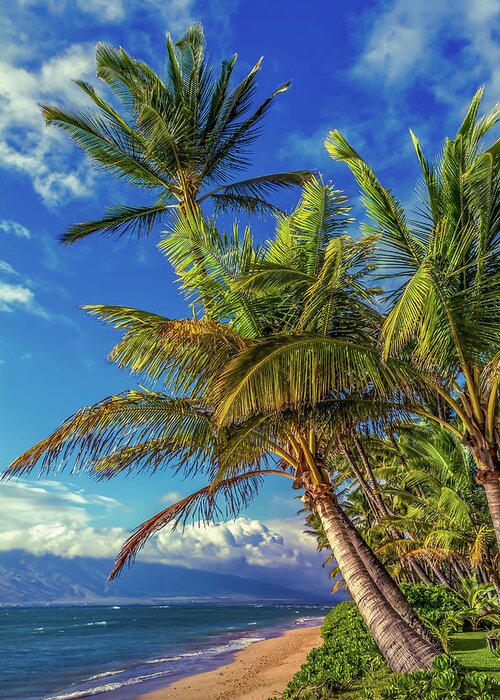 Beach Greeting Card featuring the photograph Maui Palms by Chris Spencer