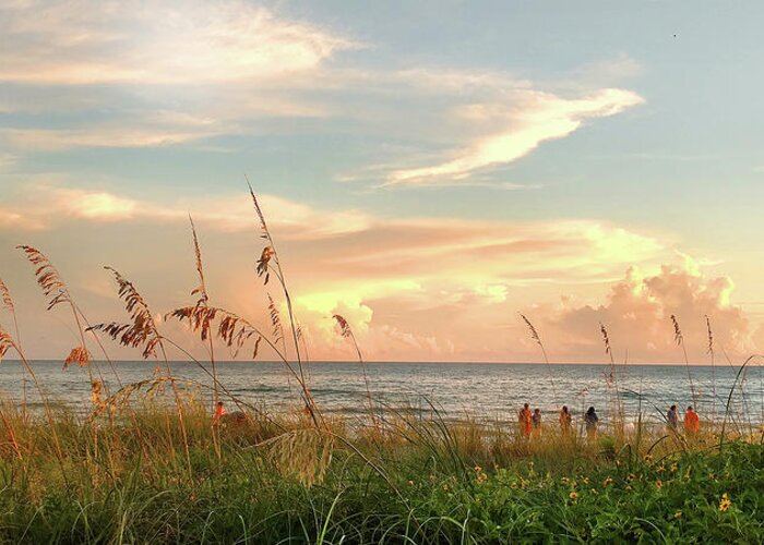 Landscape Sunset Florida Mighty Sight Studio Greeting Card featuring the photograph Medeira Beach B by Steve Sperry