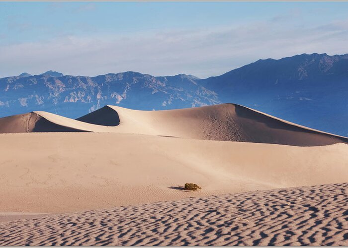Tranquility Greeting Card featuring the photograph Mesquite Dunes by John B. Mueller Photography