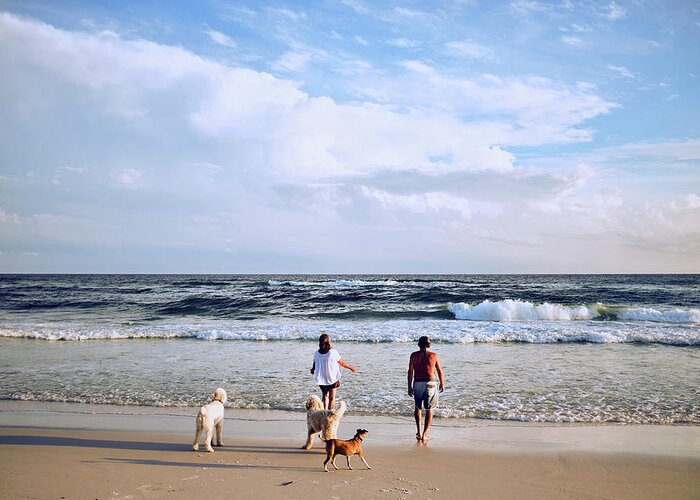 Tourist Destination Greeting Card featuring the photograph Middle Aged Couple Walking On Beach With Family Of Dogs by Cavan Images