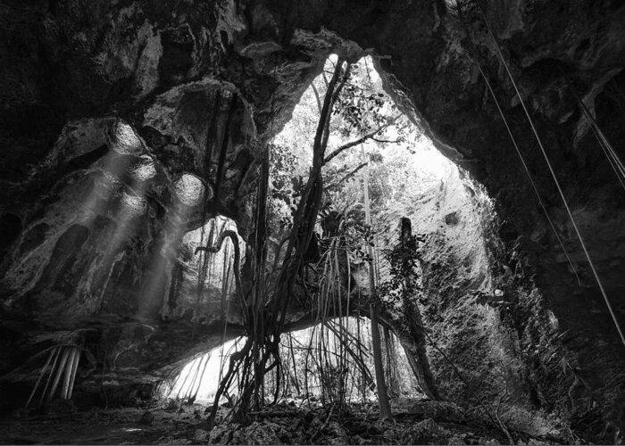 Matt Greeting Card featuring the photograph Middle Caicos Cave In Bw by Matt Anderson