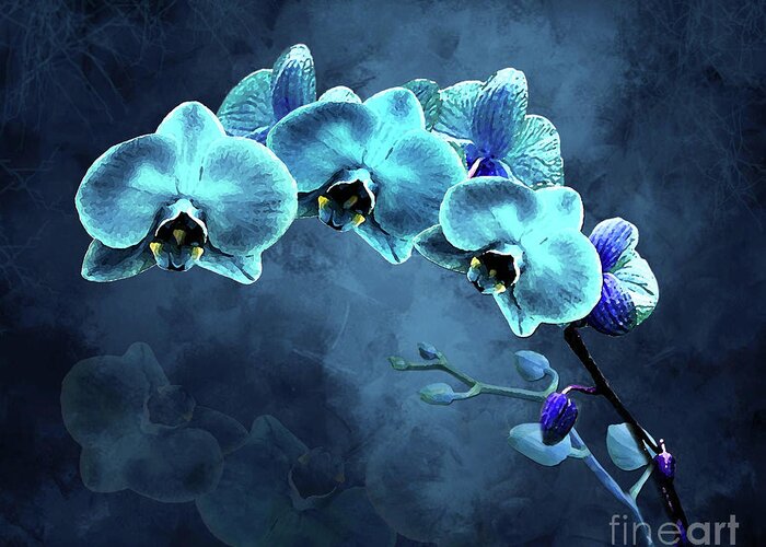 Orchid Greeting Card featuring the digital art Midnight Moonglow by J Marielle
