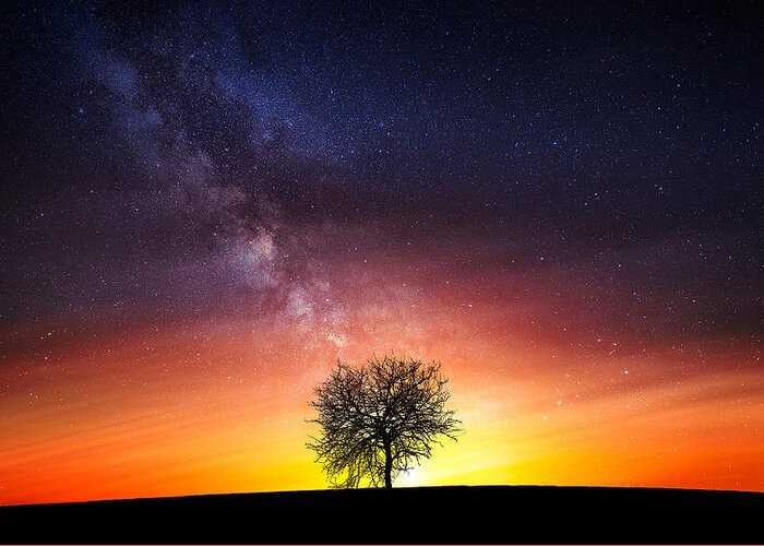 Tree Greeting Card featuring the photograph Milky Way by Bess Hamiti