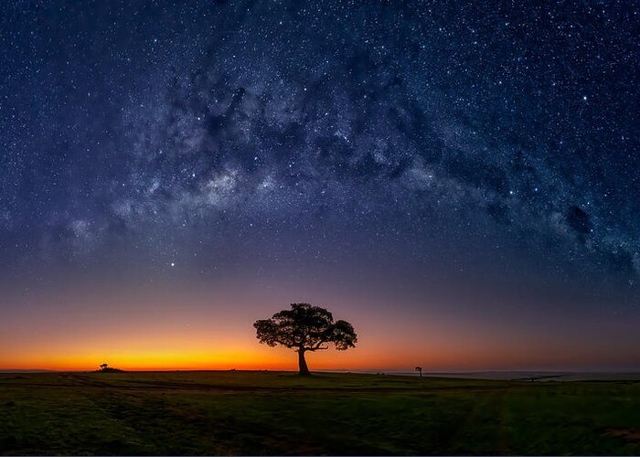 Kenya Greeting Card featuring the photograph Milky Way In Masamara At Dawn by Hua Zhu