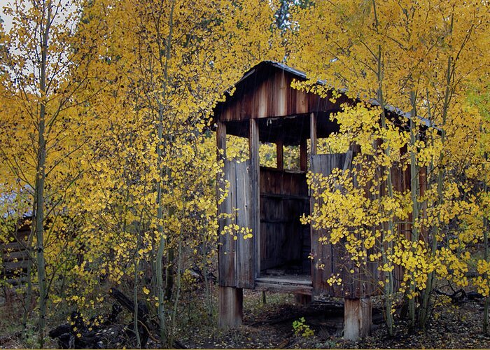 Fall Greeting Card featuring the photograph Miner's Delight Smoke House in Fall by Laura Terriere