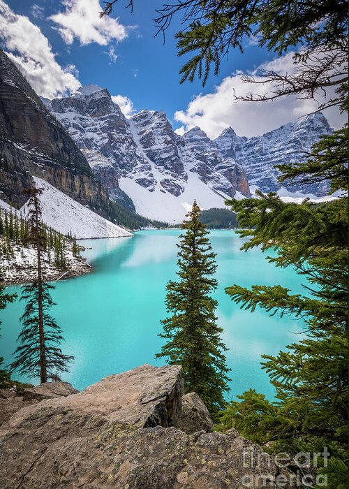 Alberta Greeting Card featuring the photograph Moraine Lake Viewpoint by Inge Johnsson