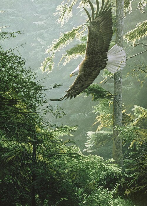 An Eagle Soars Above A Forest Greeting Card featuring the painting Morning Flight - Eagle by Ron Parker
