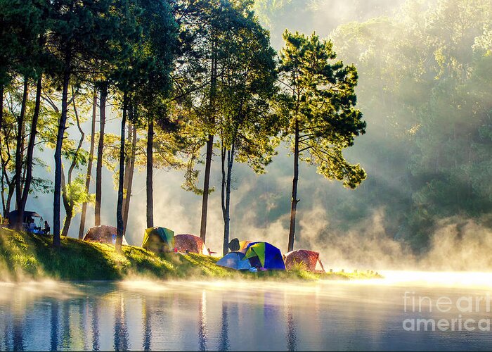 Shadow Greeting Card featuring the photograph Morning In Forest With Camping by Martinho Smart