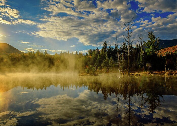 Prsri Greeting Card featuring the photograph Morning Mist, Wildlife Pond by Jeff Sinon