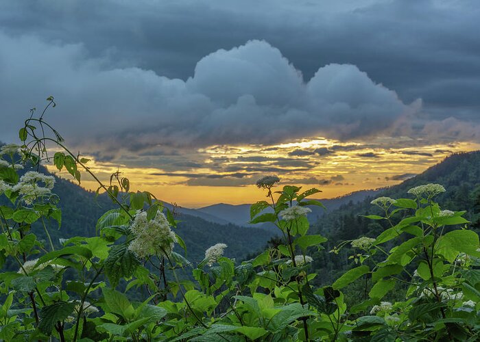 Smoky Greeting Card featuring the photograph Morton Overlook After Storm by Douglas Wielfaert