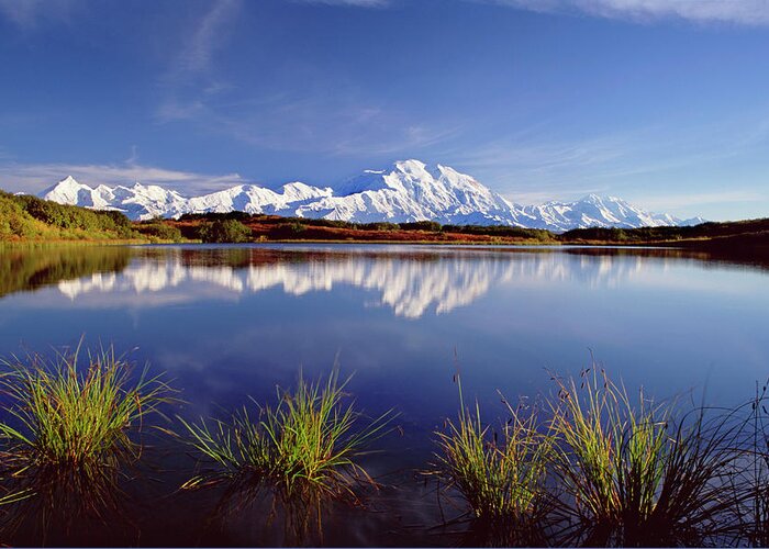 Tranquility Greeting Card featuring the photograph Mount Mckinley In Denali National Park by Mint Images - David Schultz