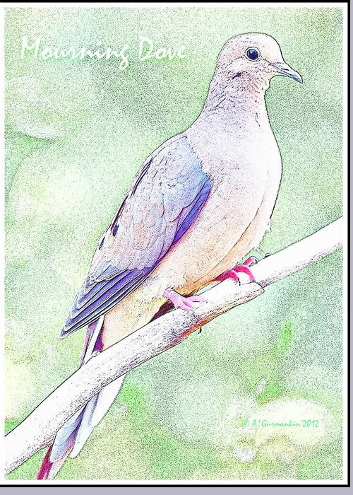 Vertebrate Animal Greeting Card featuring the digital art Mourning Dove Digital Art by A Macarthur Gurmankin