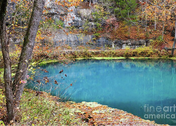 Ozarks Greeting Card featuring the photograph Naturally Blue by Jennifer White