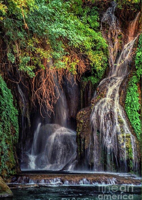Waterfalls Greeting Card featuring the photograph Navajo Falls Grotto by Kathy McClure