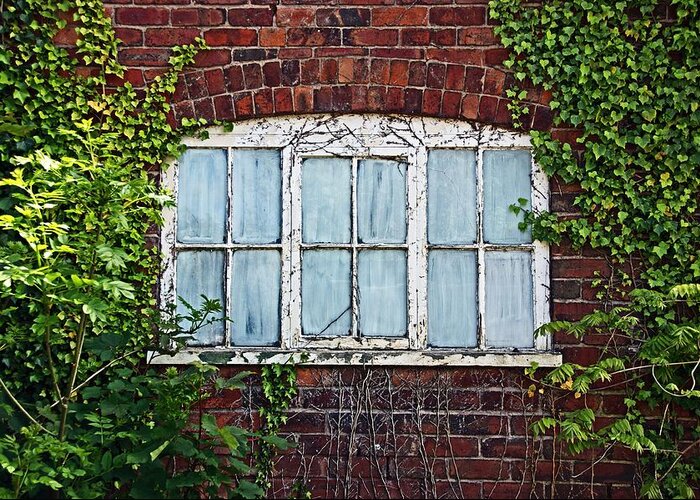 Wirral Greeting Card featuring the photograph Ness Gardens. Window. by Lachlan Main