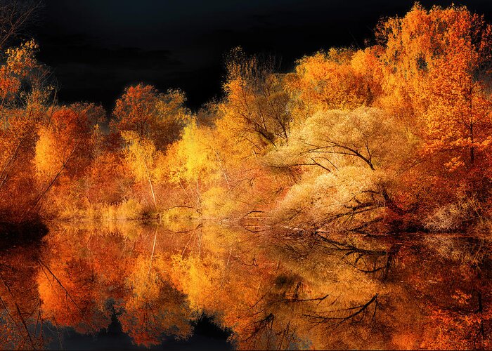 Autumn Greeting Card featuring the photograph New Look by Philippe Sainte-Laudy
