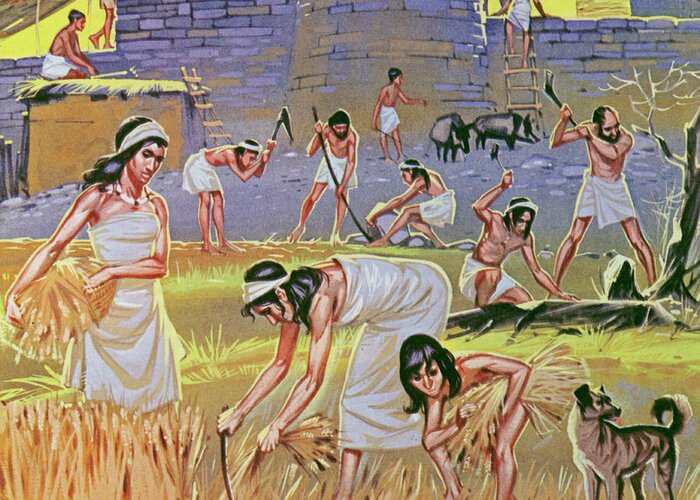 History Greeting Card featuring the painting New Stone Age Farmers by Angus McBride