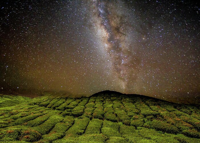 Cameron Highlands Greeting Card featuring the photograph Night Sky Over Tea Plantation by By Tourtrophy