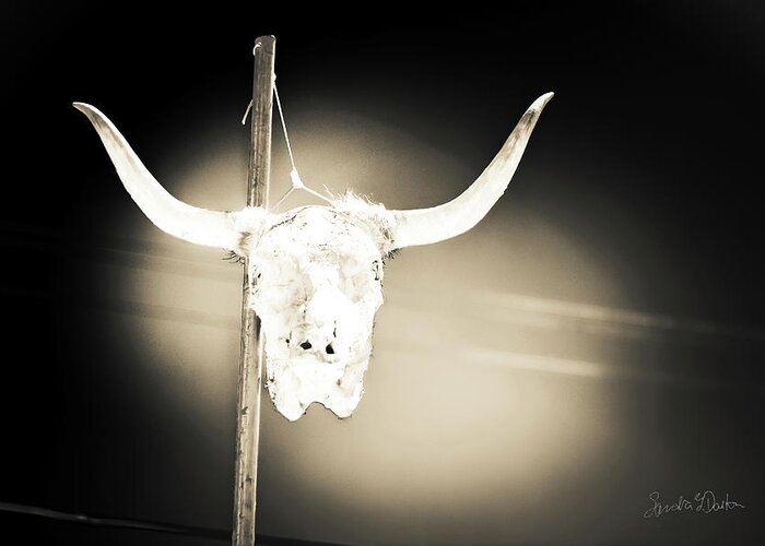 Cow Skull Photo Greeting Card featuring the photograph No Parking by Sandra Dalton