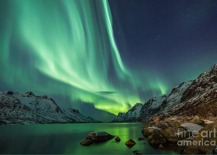 Beauty Greeting Card featuring the photograph Northern Lights Above Waters Edge by Jamen Percy
